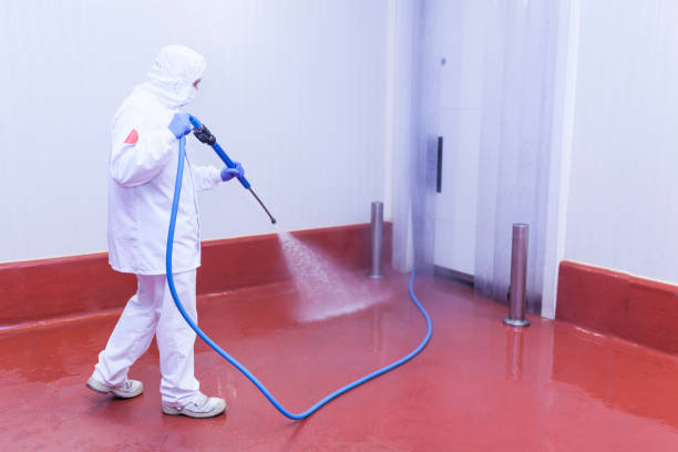 Reliable Timberlake, VA Pressure Washing Services Solutions